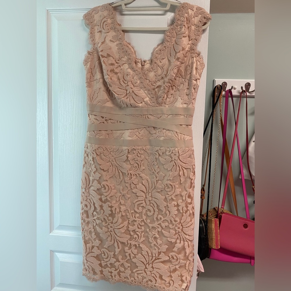 Tadashi Shoji Blush Pink Lace V-Neck Cocktail Dress
